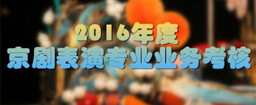 www.在线观看肏屄国家京剧院2016年度京剧表演专业业务考...